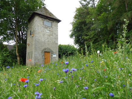 Artenschutzturm mit blühender Wildblumenwiese